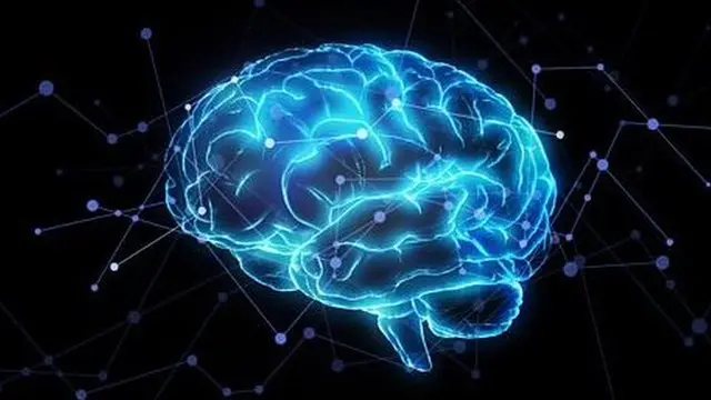 109169243 capture.jpg